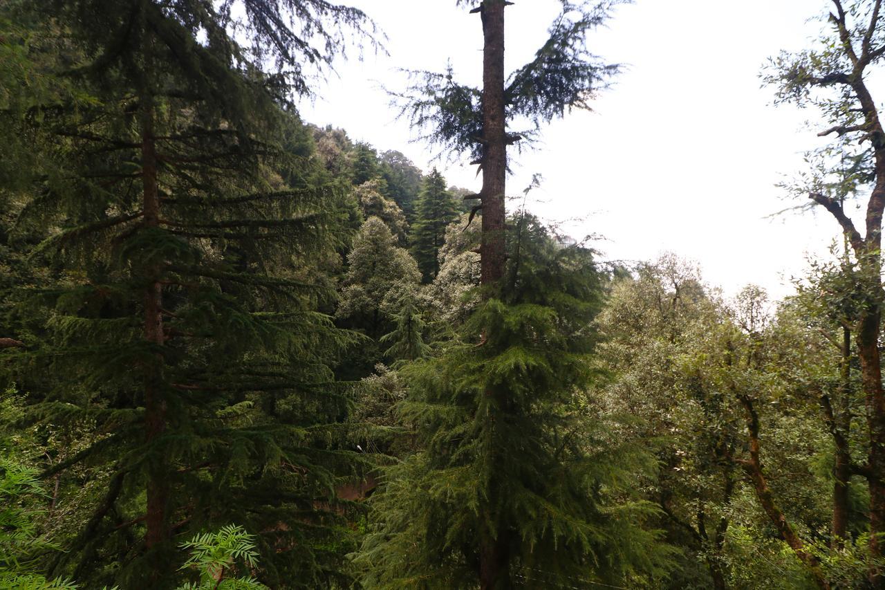Vilasa Lall Ji Resort Dalhousie Zewnętrze zdjęcie